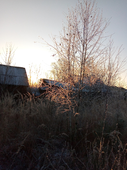 IMG_20201207_093221_785 (525x700, 483Kb)