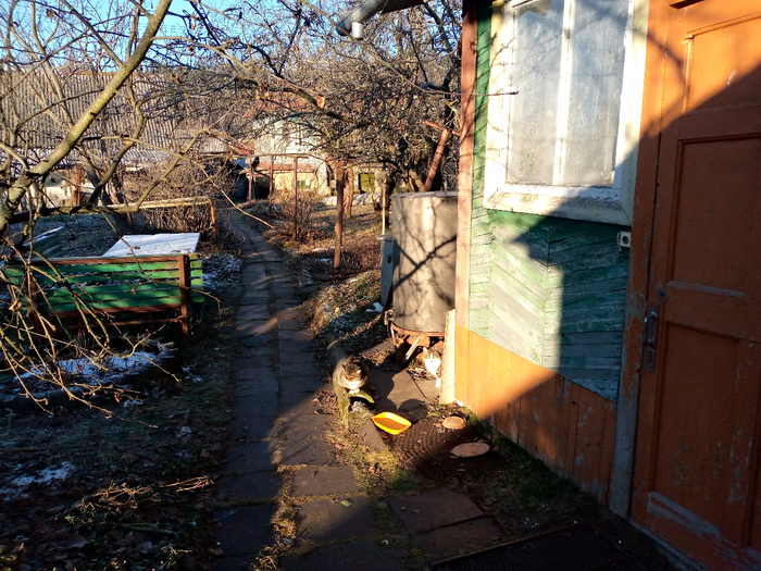 IMG_20201207_112110_435 (700x525, 557Kb)