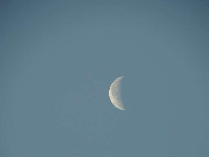 DSC00440 (700x525, 242Kb)