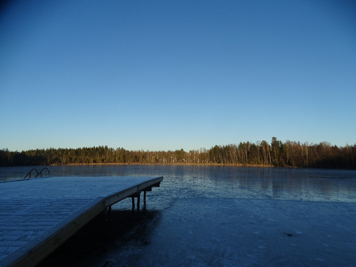 DSC00456 (700x525, 286Kb)
