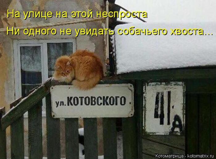 4743317_kotomatritsa_So (700x516, 56Kb)