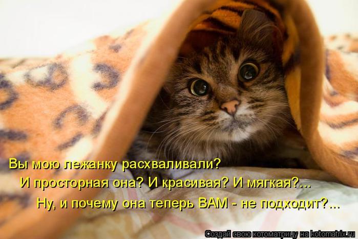 4743317_kotomatritsa_r (700x466, 51Kb)