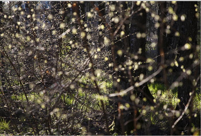 11 (600x373, 749Kb)