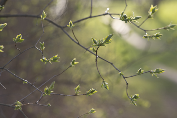 13 (600x367, 372Kb)