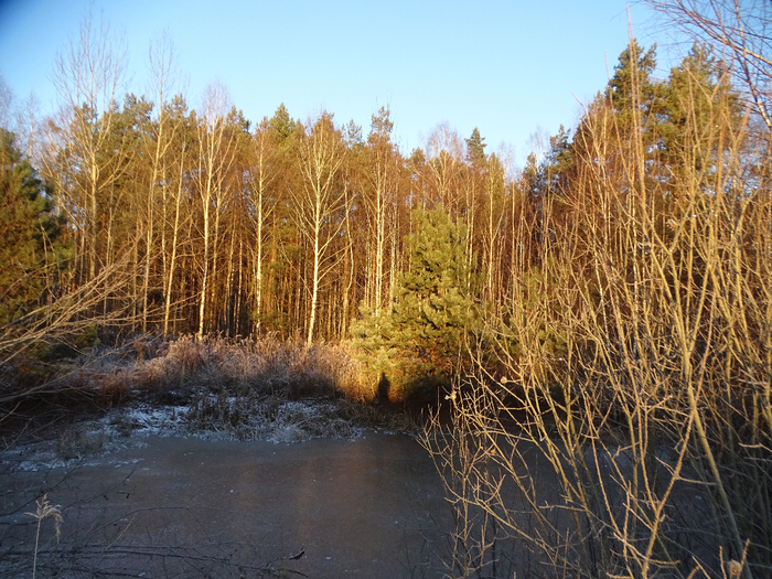 DSC00512 (700x525, 573Kb)
