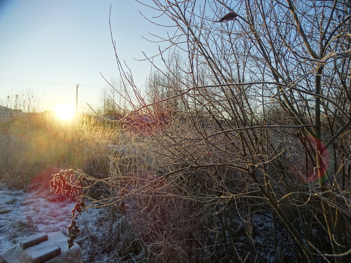 DSC00517 (700x525, 547Kb)
