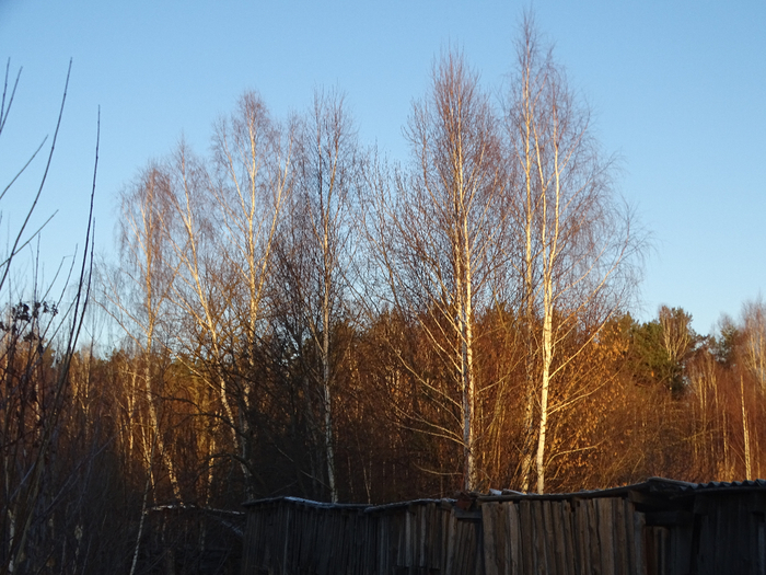 DSC00525 (700x525, 465Kb)