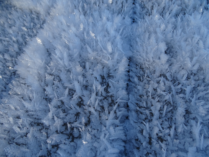 DSC00593 (700x525, 410Kb)