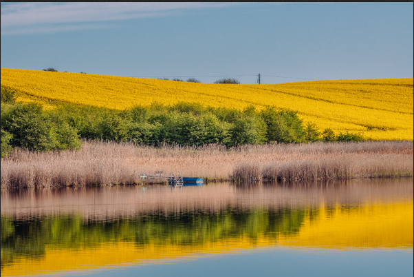 11 (602x402, 520Kb)
