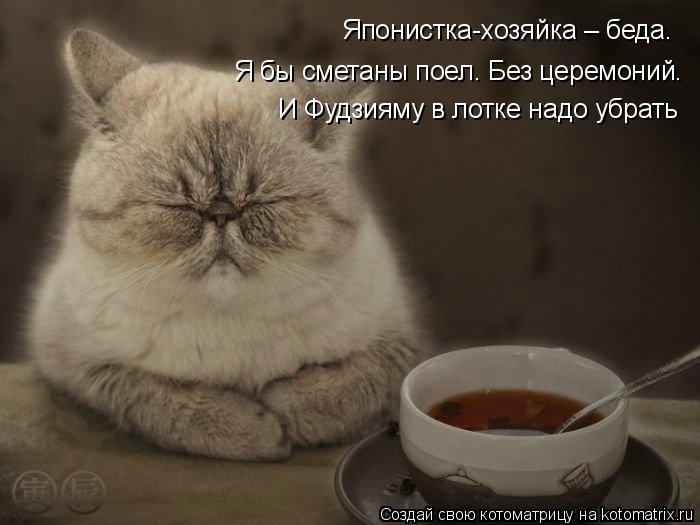 4743317_kotomatritsa_JW (700x525, 44Kb)