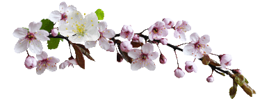 2e6246f8c4af5a41f55b3603ef1e68965d9daf157575799-1 (387x143, 22Kb)