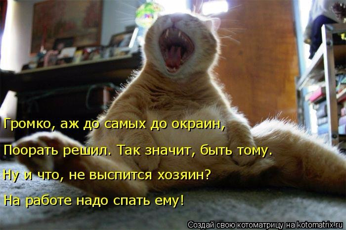 9 (700x467, 268Kb)