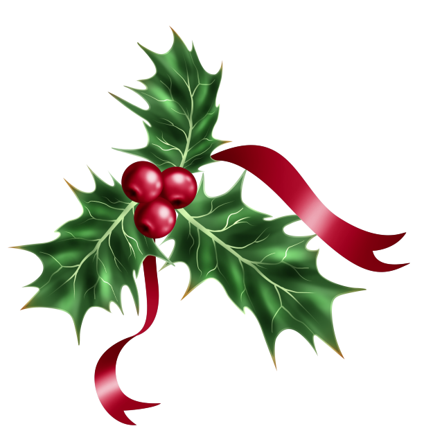 Christmas holly. Королевский остролист. Остролист символ Рождества. Падуб. Новогодняя ветка остролиста.