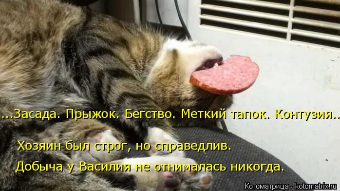 4743317_kotomatritsa_v (700x392, 54Kb)