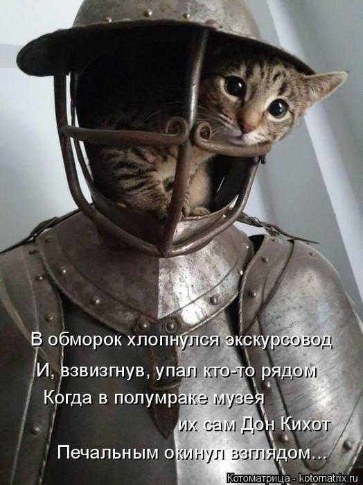 4743317_kotomatritsa_Kw (524x700, 56Kb)