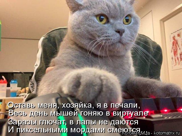 4743317_kotomatritsa_c (640x480, 60Kb)