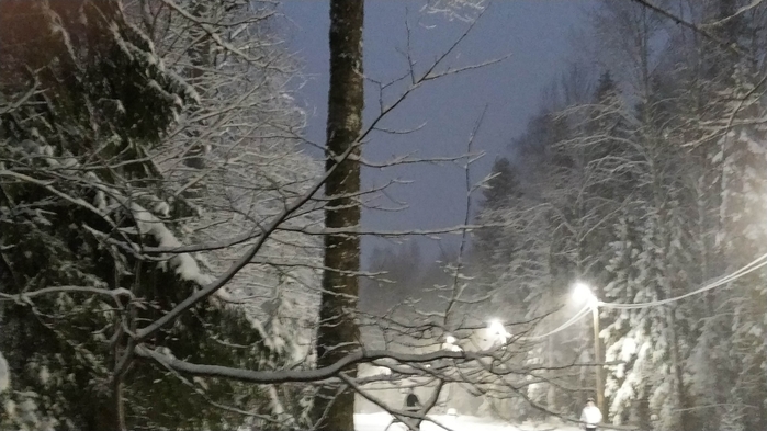 4737833_IMG_20210102_1622381 (700x393, 204Kb)