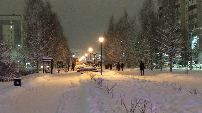 4737833_IMG_20210108_1715501 (700x393, 203Kb)
