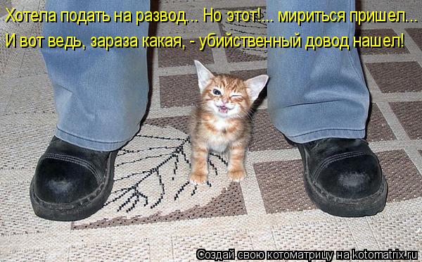 4743317_kotomatritsa_s (600x372, 65Kb)