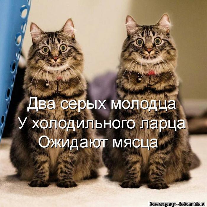 4743317_kotomatritsa_e (700x700, 84Kb)