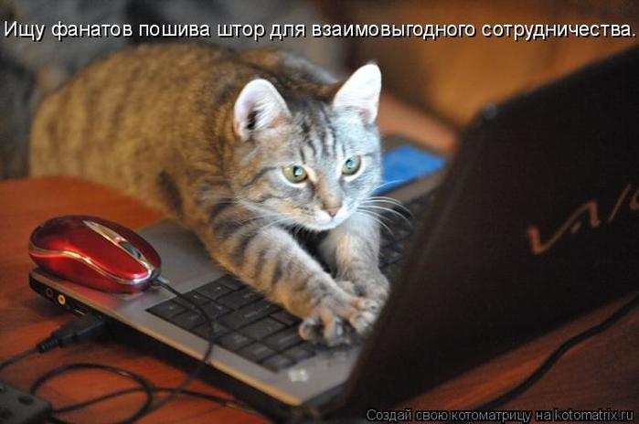4743317_kotomatritsa_5r (700x464, 39Kb)