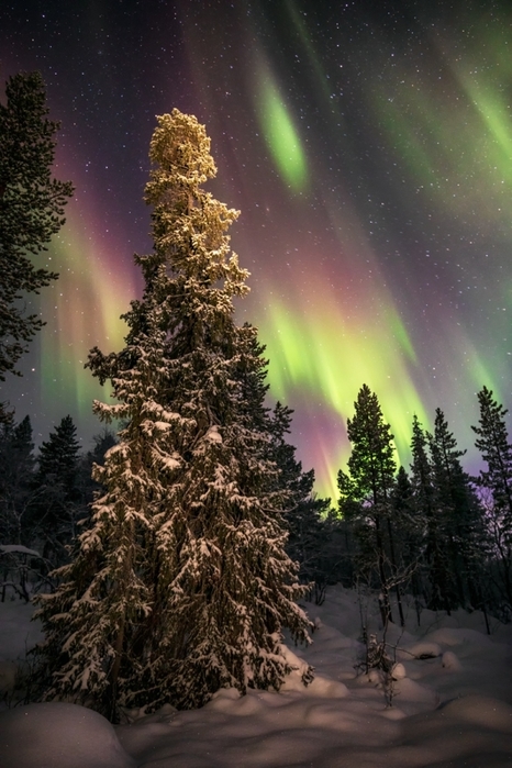 5685413_ErbtDEfW8AADZFtMurmansk (466x700, 260Kb)