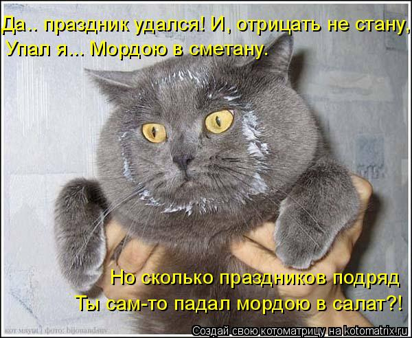kotomatritsa_B (600x492, 241Kb)