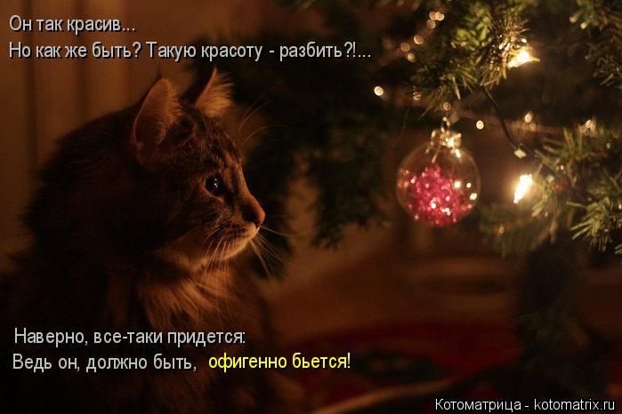 kotomatritsa_g (699x466, 227Kb)