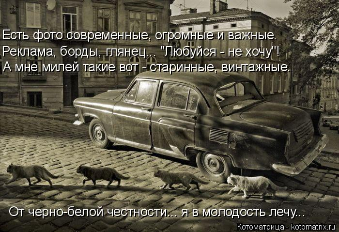 kotomatritsa_ok (700x479, 284Kb)