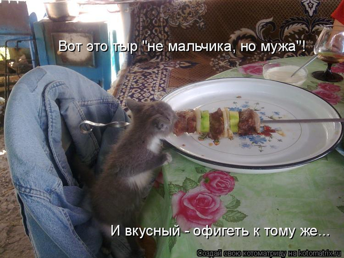 kotomatritsa_Y (700x524, 374Kb)
