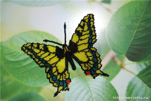 Бисер. Бабочка махаон или мозаичное плетение (8) (500x334, 139Kb)