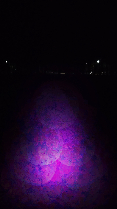 IMG_20200822_211543 (393x700, 225Kb)