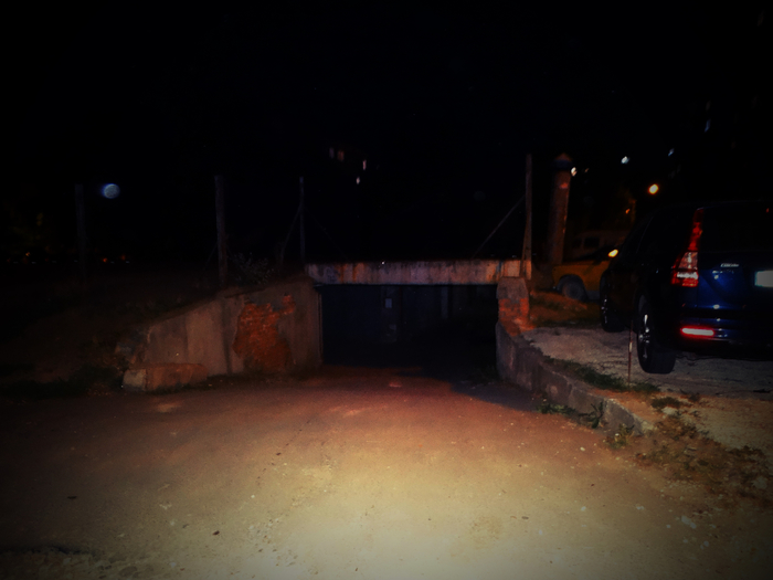 DSC00315 (700x525, 237Kb)