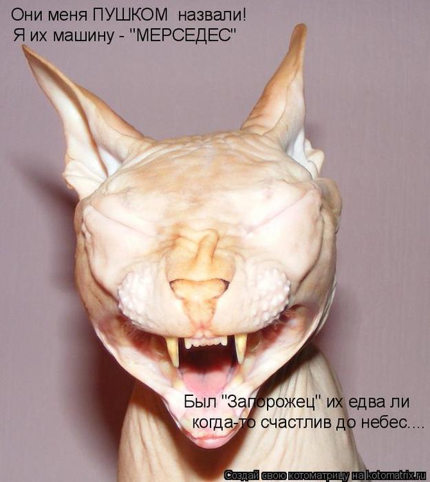 4743317_kotomatritsa_E (625x700, 46Kb)