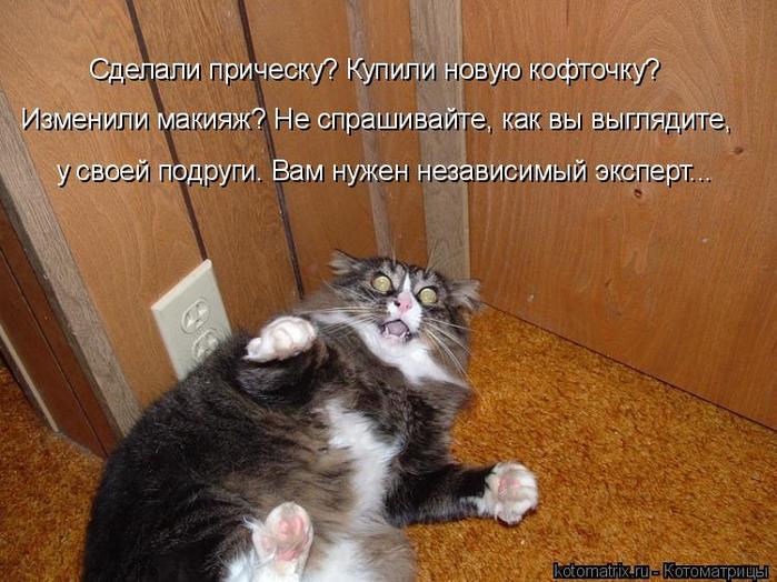 4743317_kotomatritsa_Kk (700x524, 70Kb)