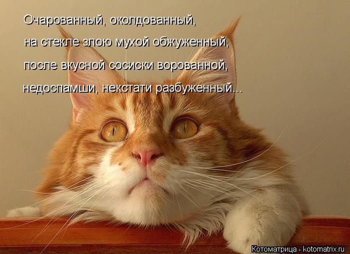 4743317_kotomatritsa_F (700x508, 52Kb)