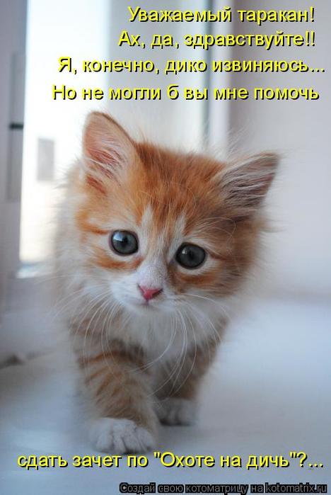 4743317_kotomatritsa_w (468x700, 44Kb)
