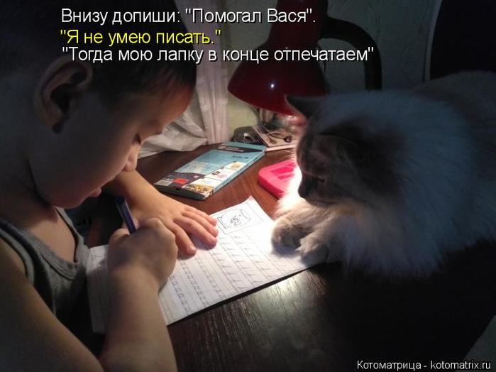 4743317_kotomatritsa_vd (700x524, 42Kb)