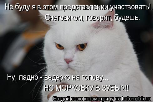 4743317_kotomatritsa_D (489x326, 28Kb)
