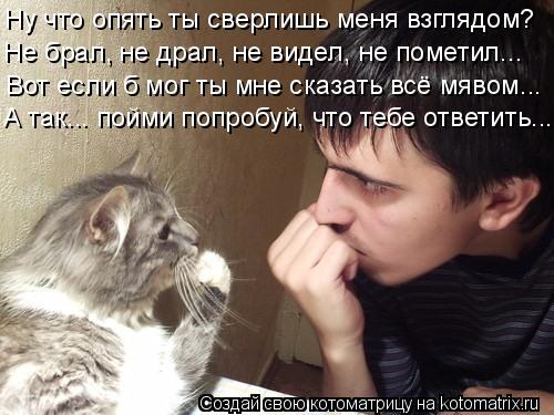 4743317_kotomatritsa_C (500x375, 43Kb)