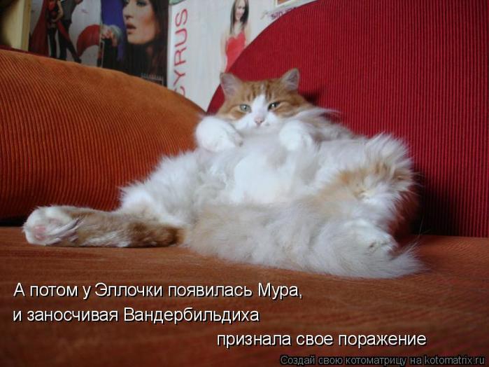 4743317_kotomatritsa_ (700x524, 51Kb)