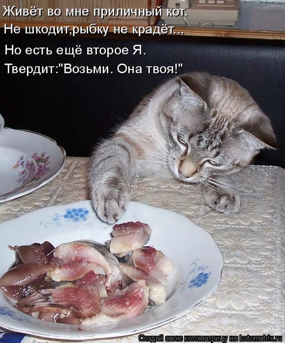 4743317_kotomatritsa_t (582x700, 76Kb)