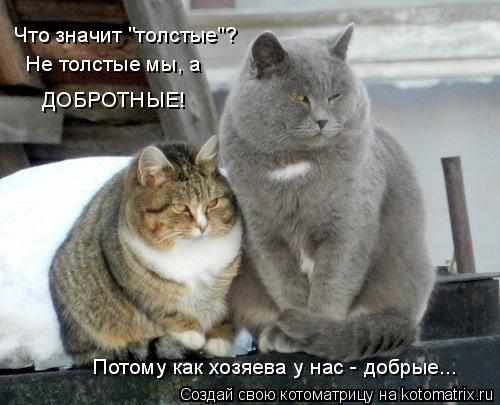 4743317_kotomatritsa_X (500x405, 38Kb)