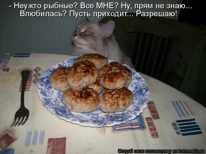 kotomatritsa_Qy (700x523, 333Kb)