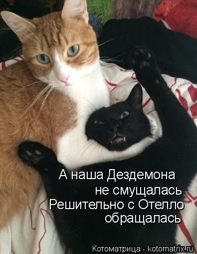 4743317_kotomatritsa_C (395x509, 35Kb)