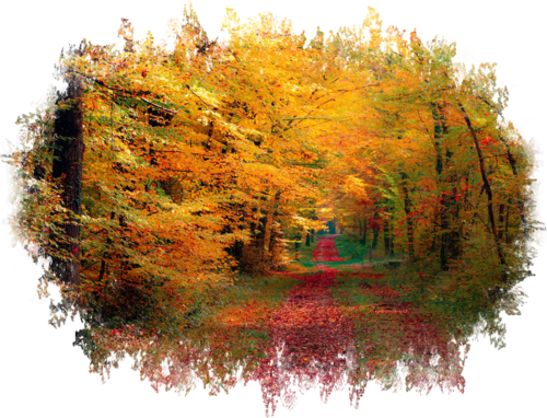 Autumn Backgrounds #1 (76) (500x382, 424Kb)