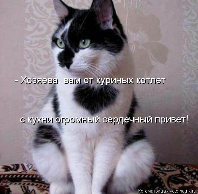 4743317_kotomatritsa_9f (696x681, 58Kb)