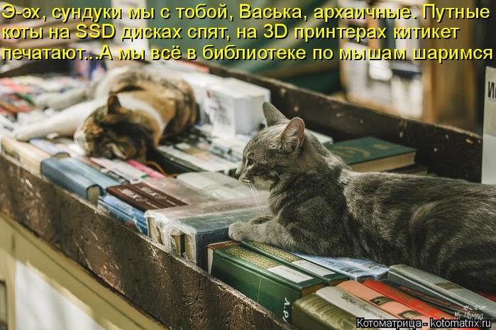 4743317_kotomatritsa_3 (700x465, 69Kb)