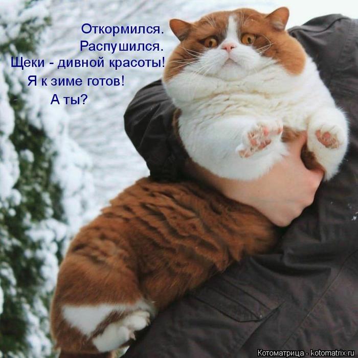 4743317_kotomatritsa_4 (700x699, 60Kb)