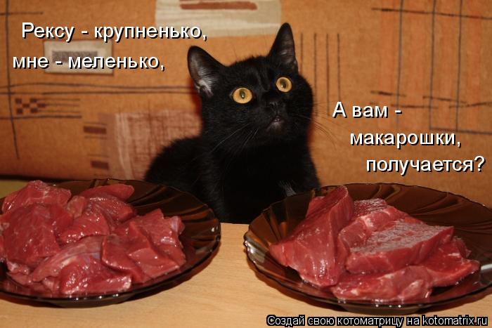 4743317_kotomatritsa_p_1 (700x467, 52Kb)